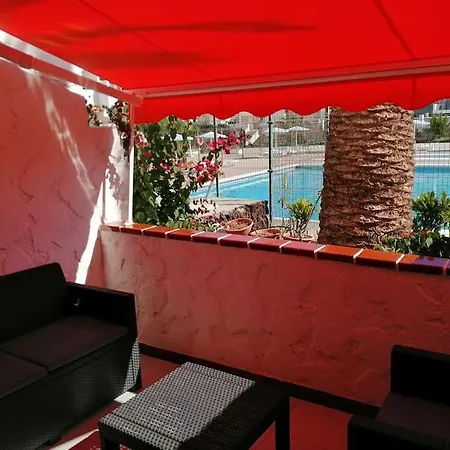 Palm * Costa Del Silencio