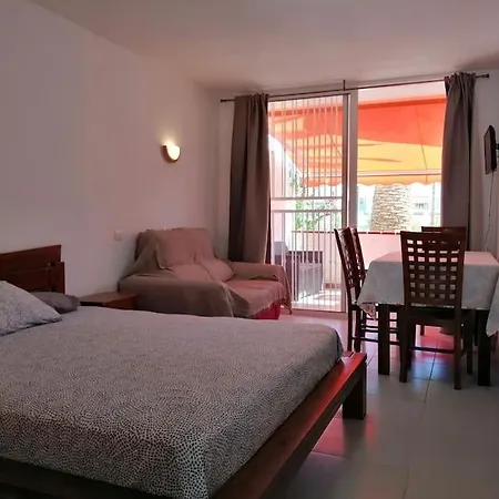 Palm * Costa Del Silencio