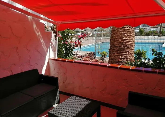 Palm * Costa Del Silencio