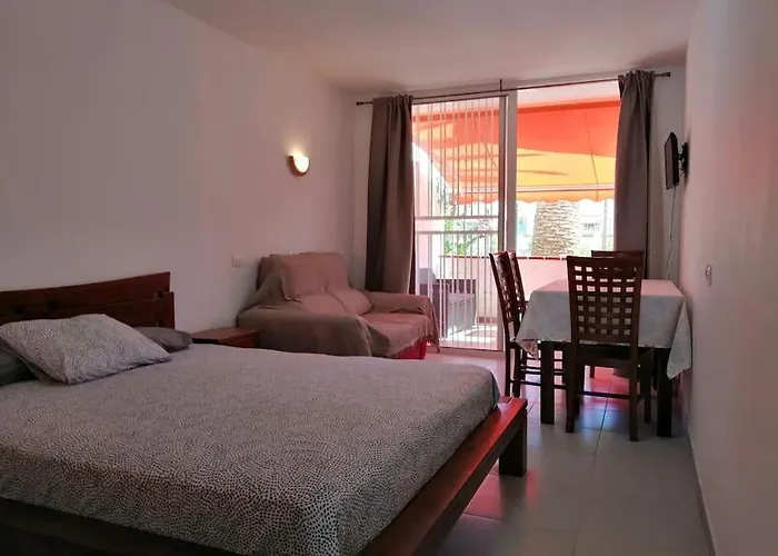 Palm * Costa Del Silencio